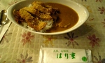 2007-08-27hari2.jpg