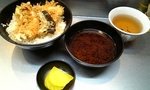 2007-11-04tendon3.jpg