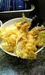 2008-05-26kaen2.jpg