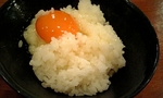 2008-05-30tama4.jpg