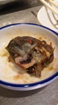 20081207tako7.jpg