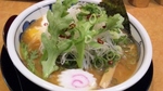 20090117gekkou4.jpg