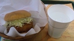 20090323moss1.jpg