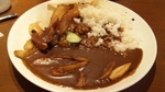 20091123indoya6.jpg