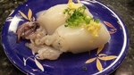 20100117misaki4.jpg